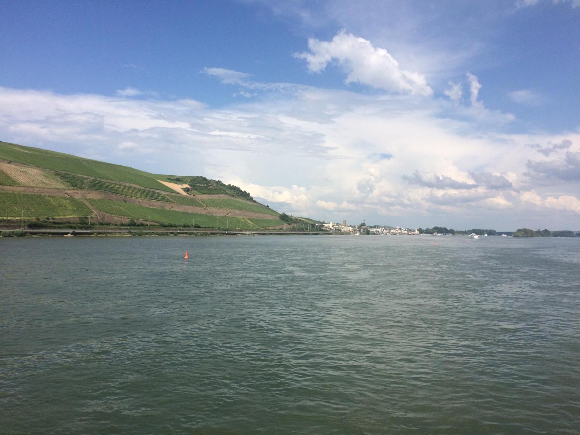 Haus Am Weinberg Apartment Rudesheim am Rhein Bagian luar foto