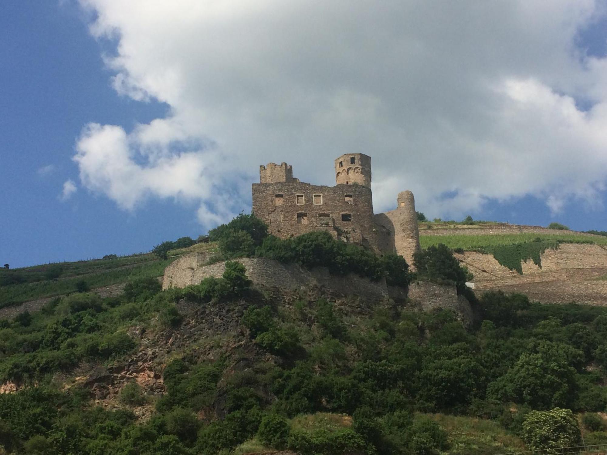 Haus Am Weinberg Apartment Rudesheim am Rhein Bagian luar foto